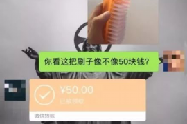 模拟人生讨债者：揭秘虚拟世界中的债务危机