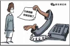 催收实习报告册周报