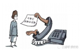贵定追款公司：专业解决欠款难题，助力企业稳健发展